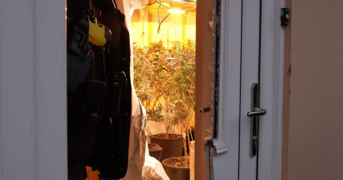 A police officer standing in front of a smashed front door with cannabis plants visible in the background